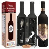 Kit accessori per vino 5 pezzi