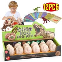 Kit di Scavo di Uova di Dinosauro