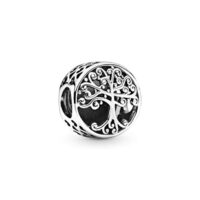 Pandora Charm